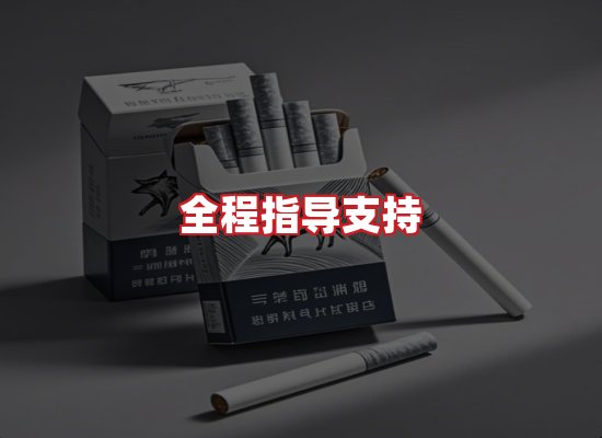 专业团队